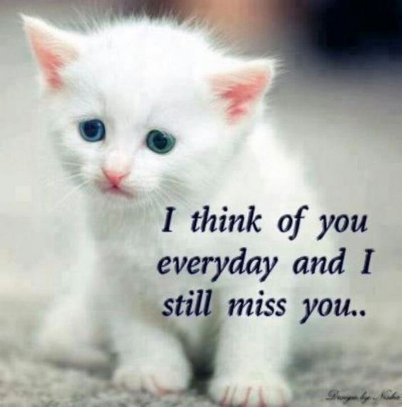 77 Funny Thinking Of You Memes And Images For That Special Person