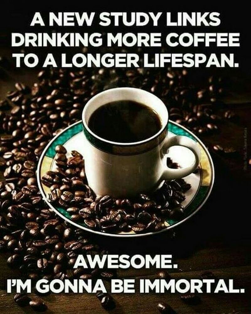 87 Funny Coffee Memes Is Just What You Need
