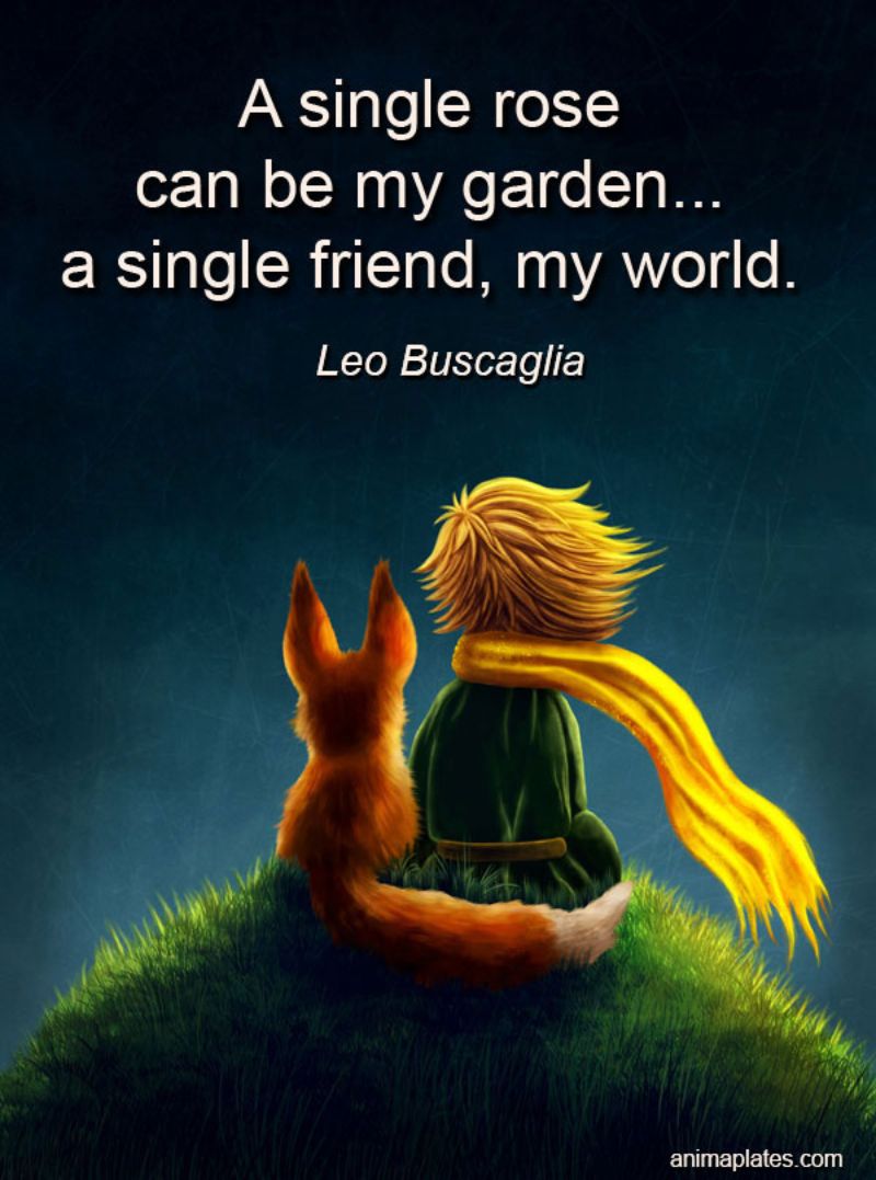 81 Long Distance Friendship Quotes