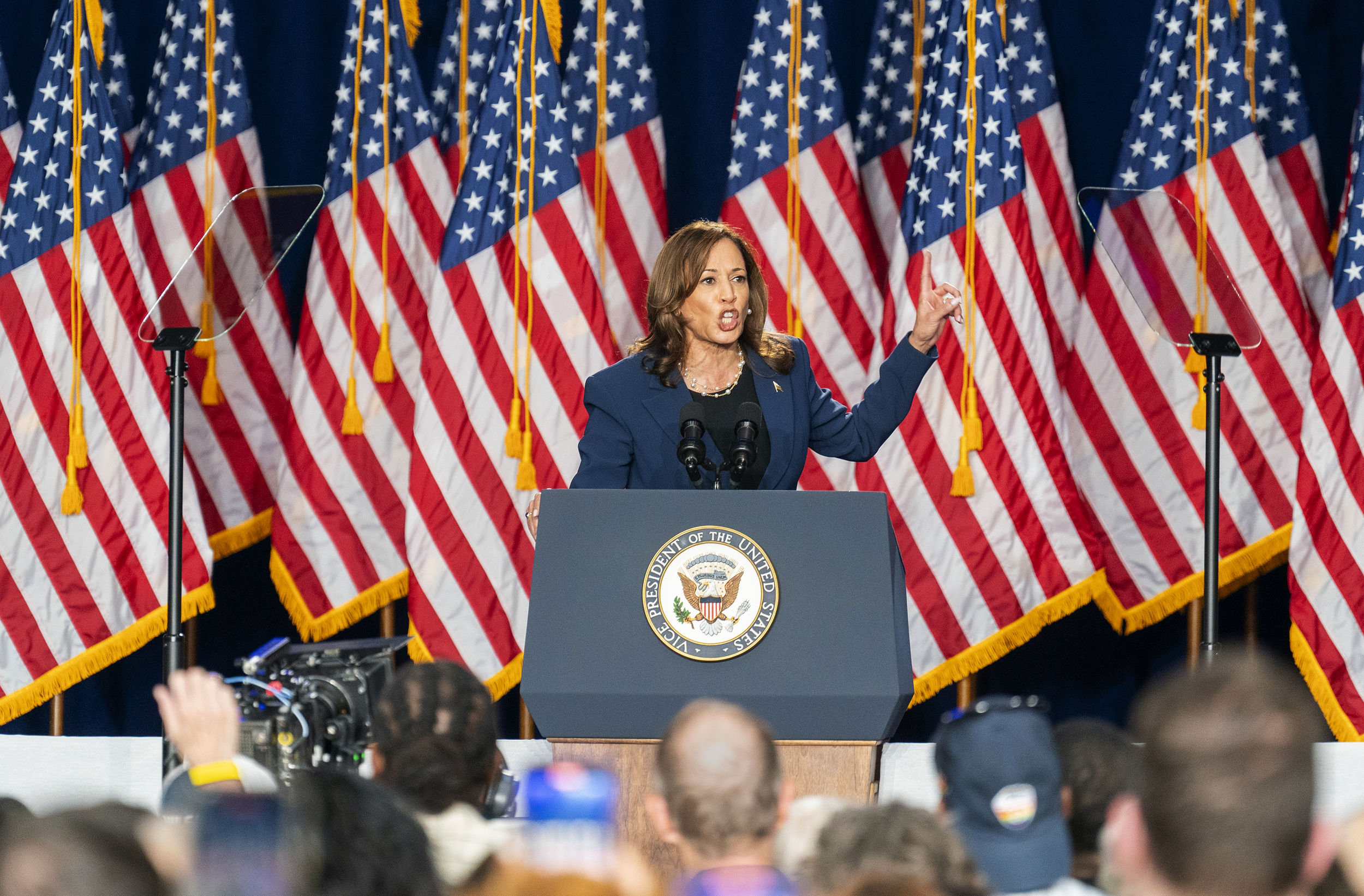 Kamala Harris tells roaring Wisconsin crowd November election is ‘a choice between freedom and chaos’