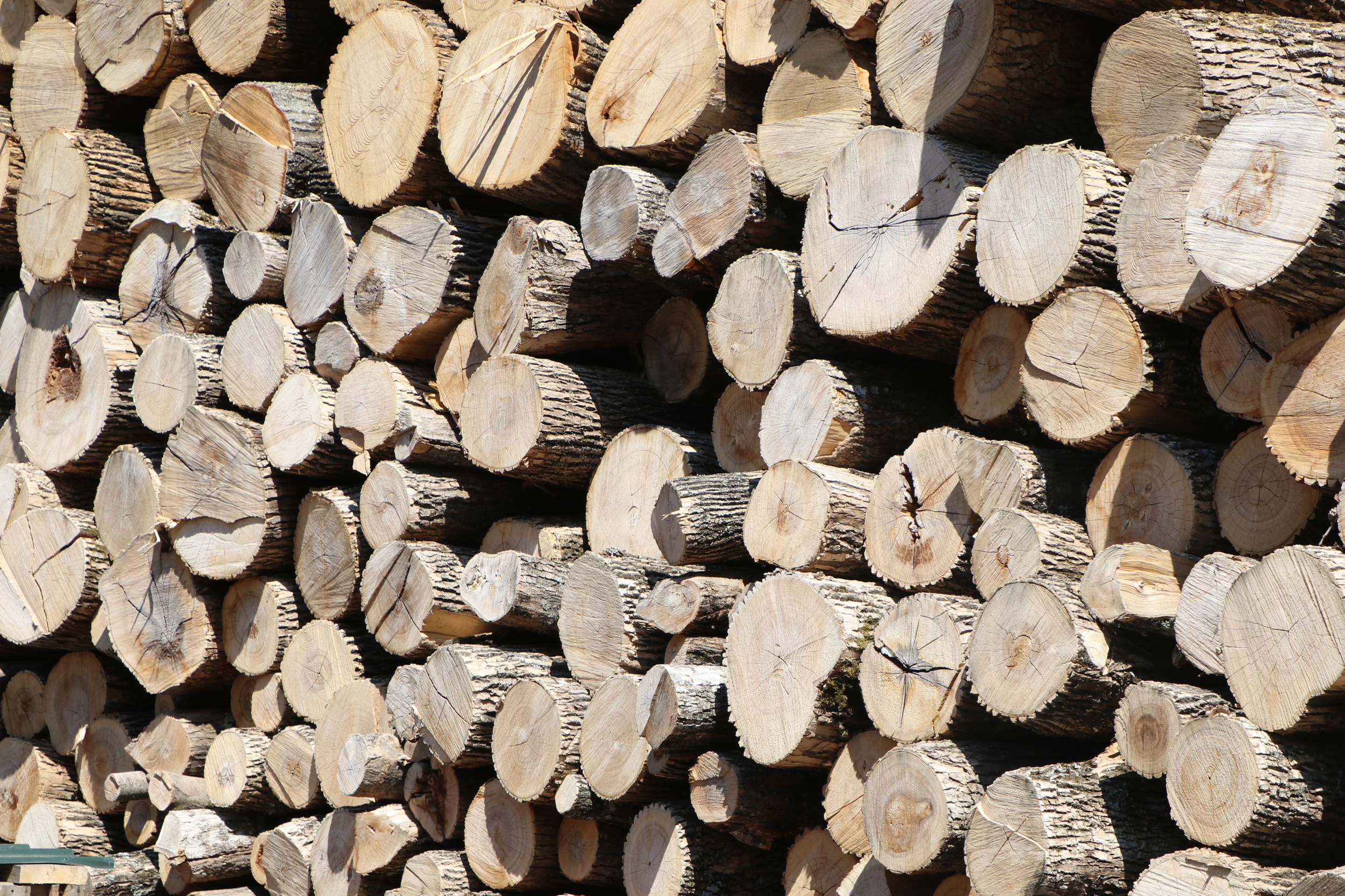 Logs