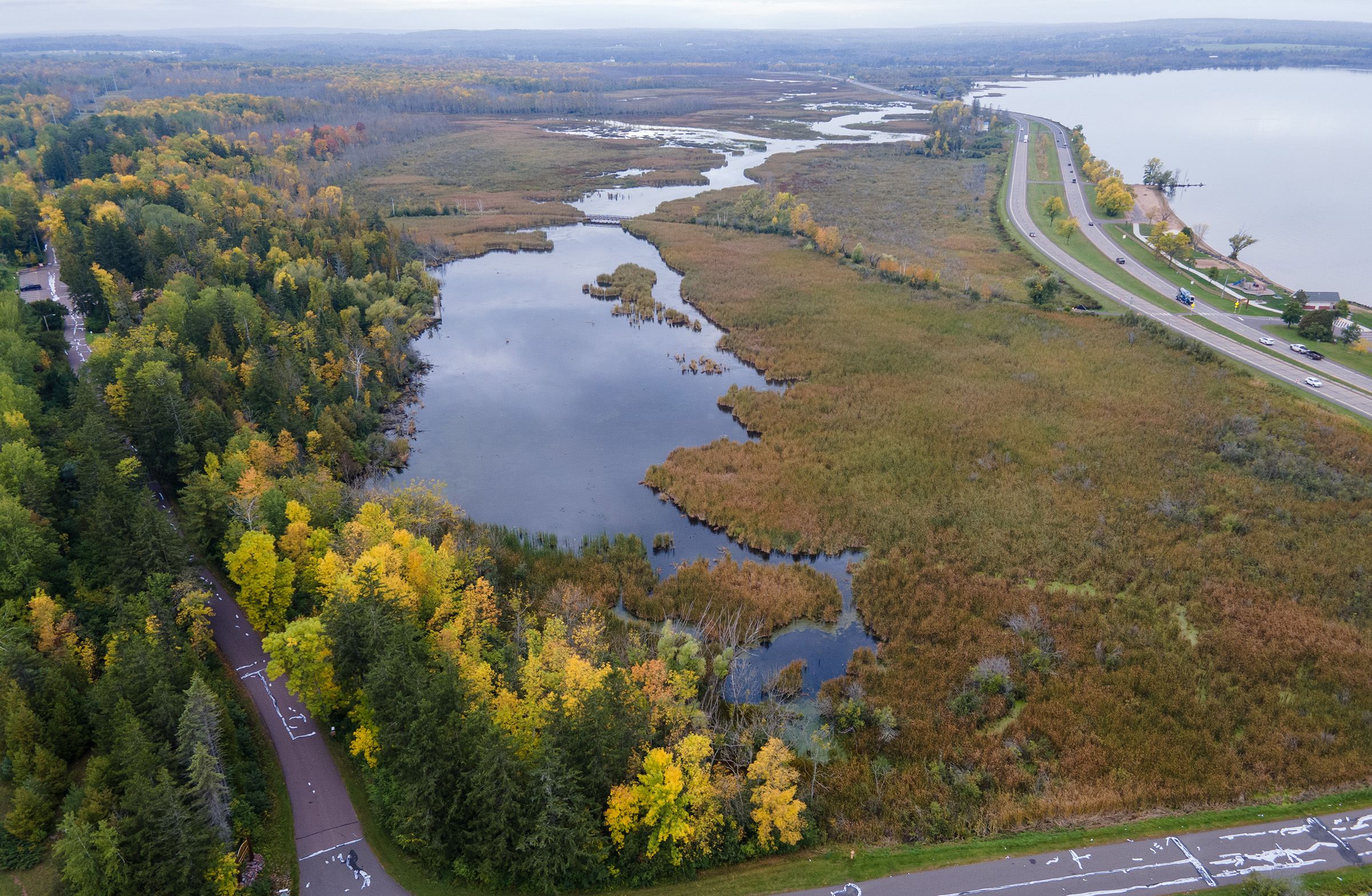 Aerial view of wetland area