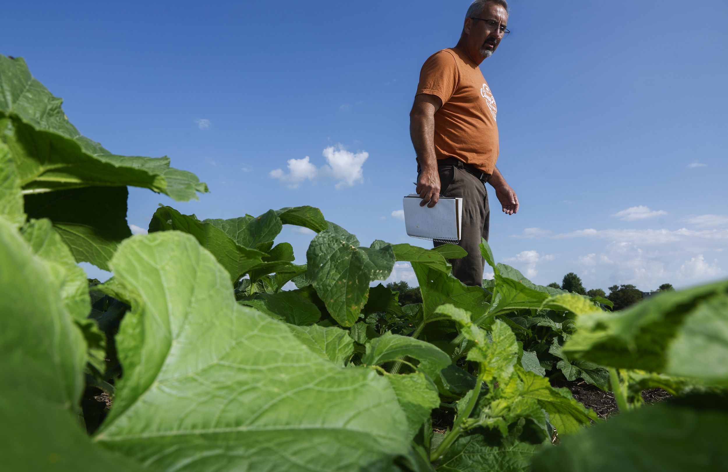 Man stands among green plants.