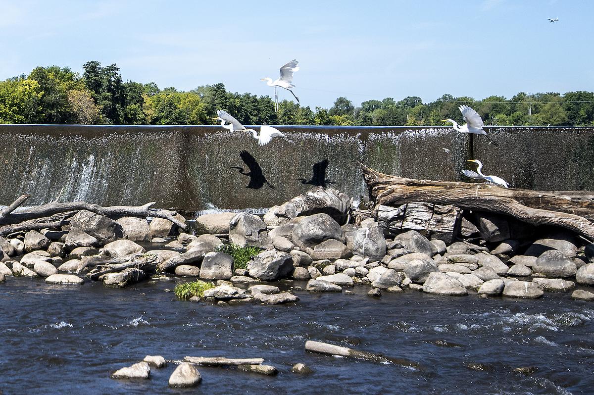 Budget deal’s $15 million in earmarks for Robin Vos’ district highlight politicization of Wisconsin’s conservation funding