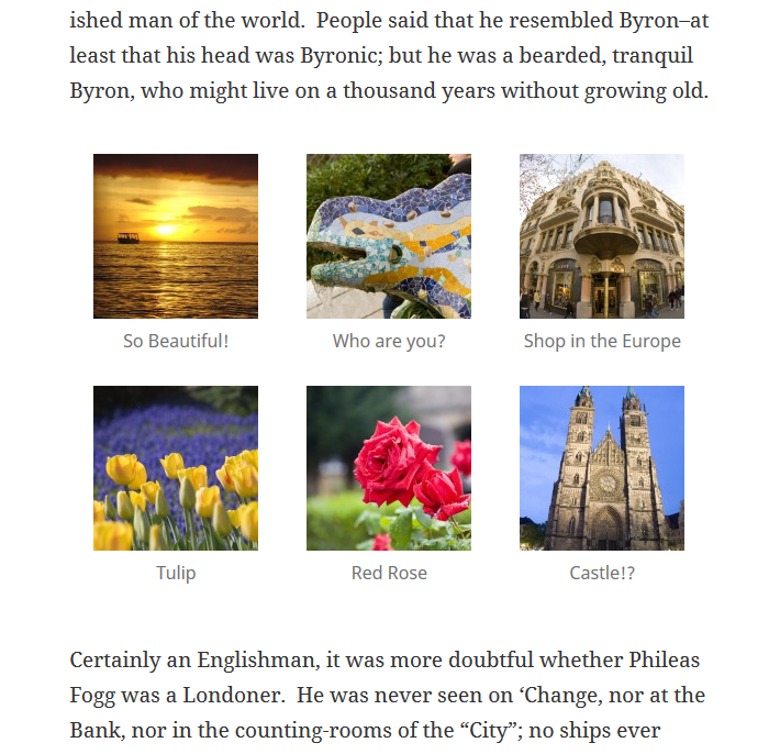 A published gallery with captions