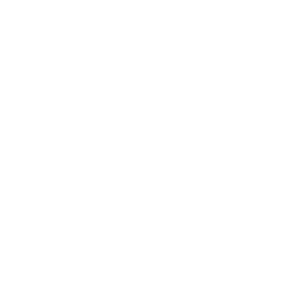 WordPress Foundation
