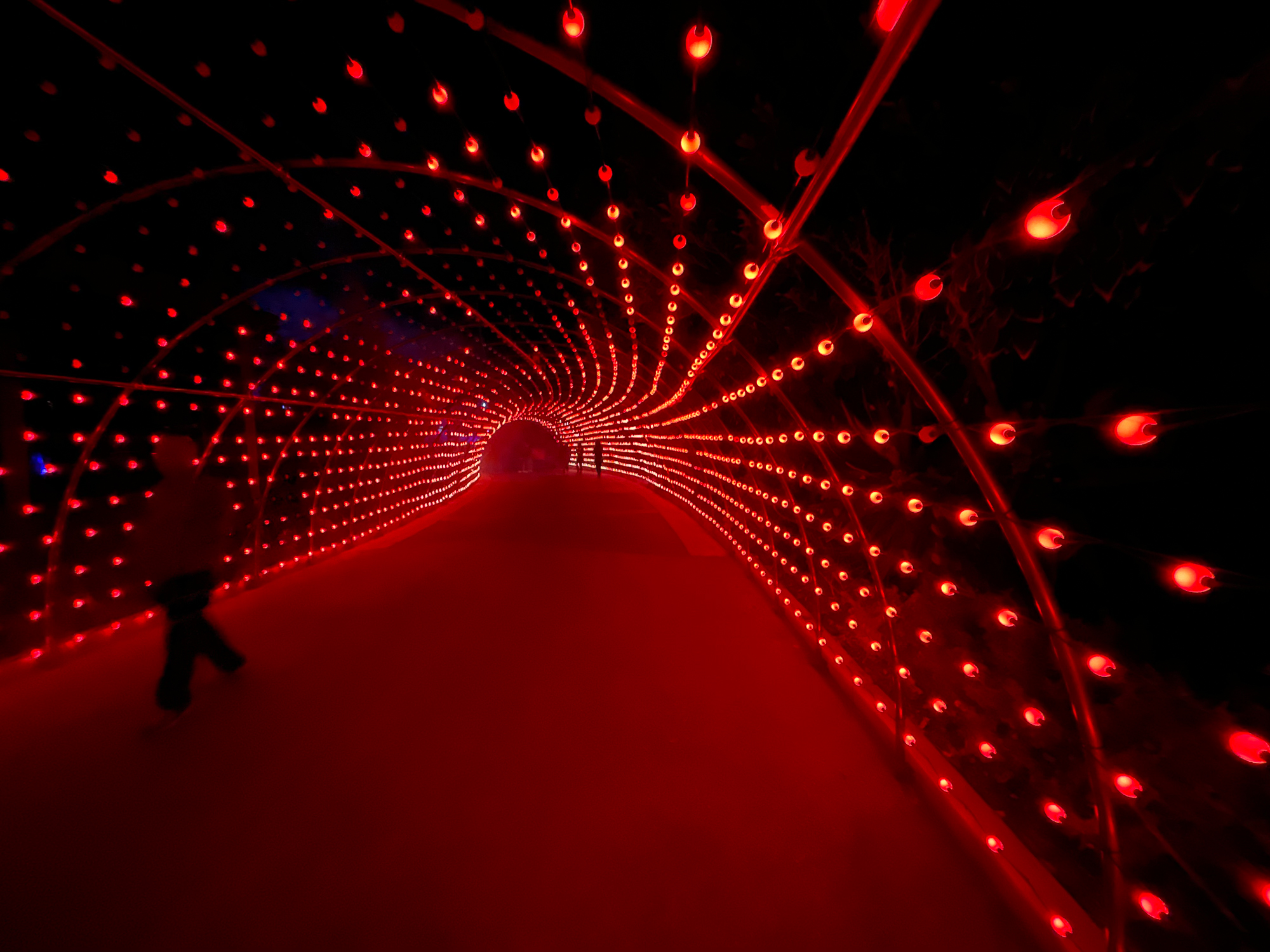 How Seaworld San Diego Can Grow And Improve Howl O Scream Over The Next Decade Orange County Register