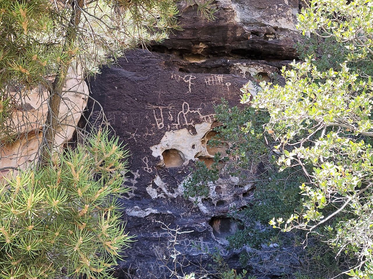 Ancient petroglyphs in Nevada's Red Rock Canyon. (Photo by Jenny Peters)