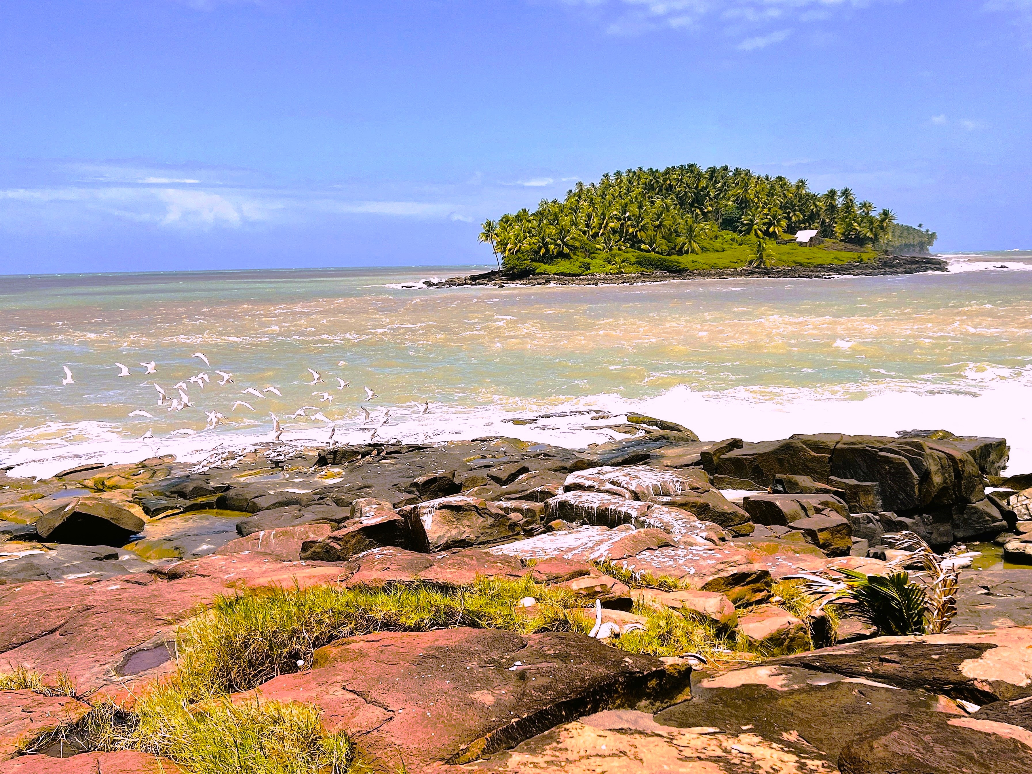 Pristine beauty graces French Guiana on South America's eastern coastline. (Photo by David Dickstein)
