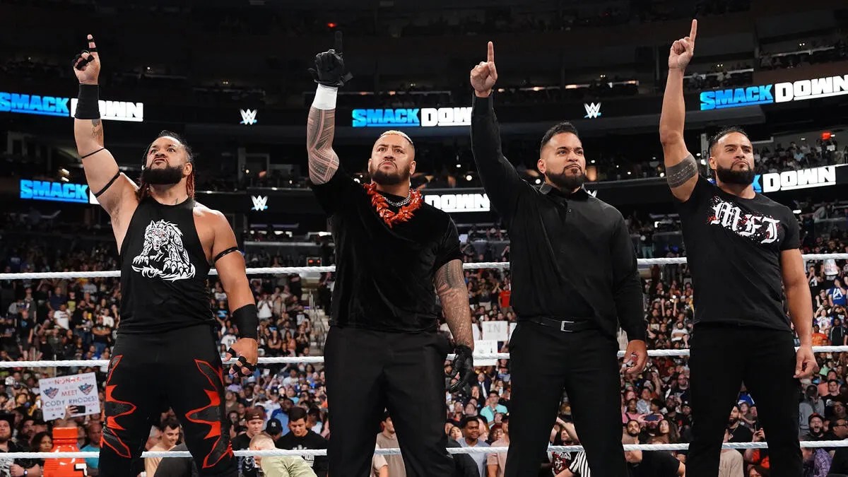 Will The Bloodline Add New Members Soon? Analysis Indicates What to Expect