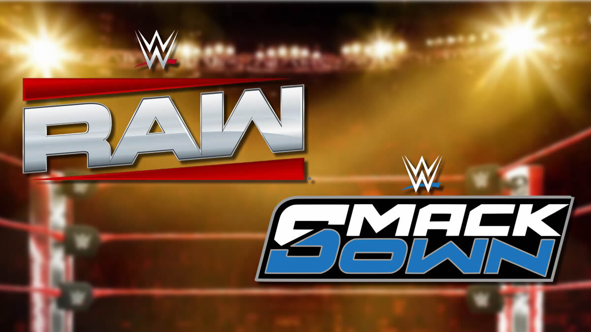 WWE Star Undergoes Major Internal Change
