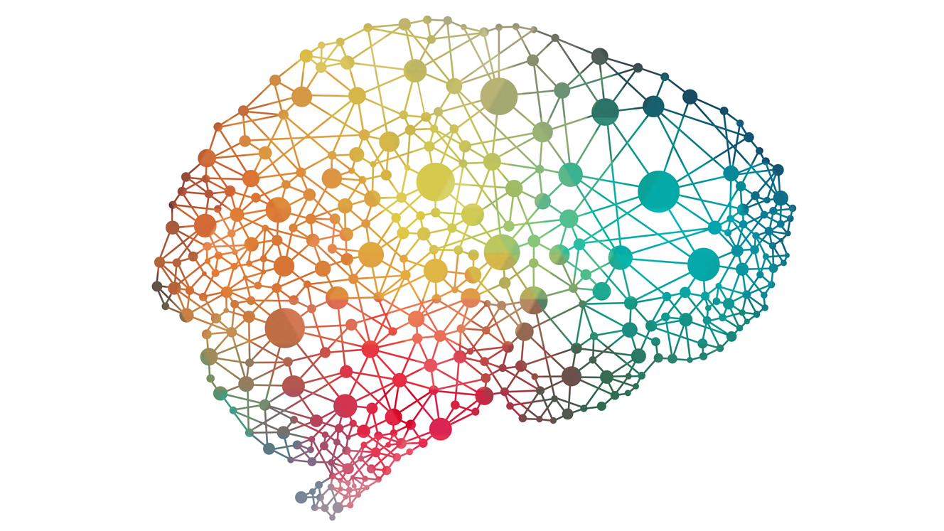 The neurology of the ADHD brain