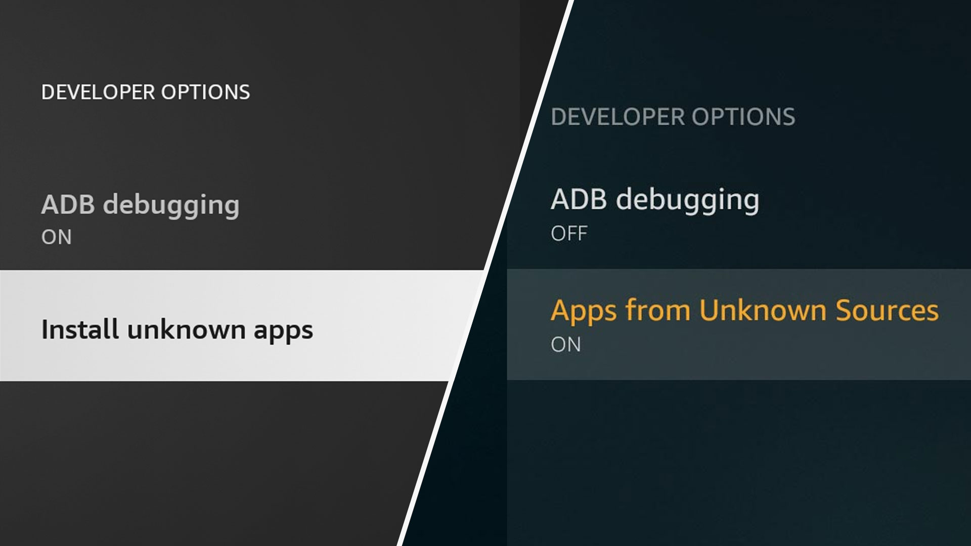 developer options firestick