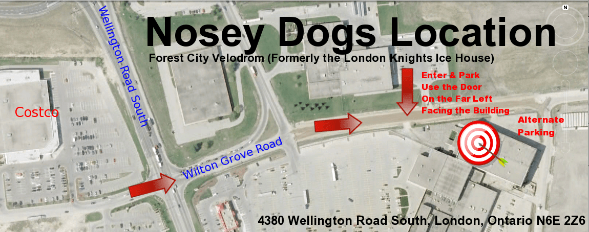 Nosey Dogs Location