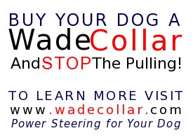 Wade Collar Ad