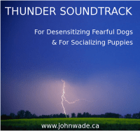 Thunder Sound Track for Dogs
