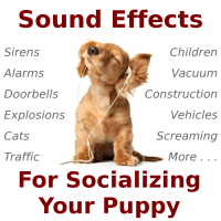 Socialization Sound Effects for Your Puppy