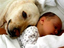 Infant and Dog