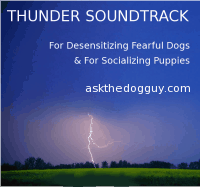 Dog Anxiety Thunder Soundtrack