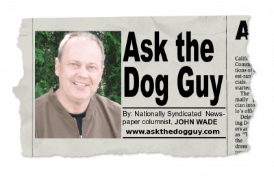 John Wade Ask the Dog Guy