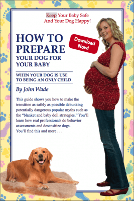 Prepare Your Dog For Your Baby
