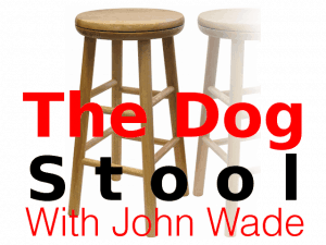 Dog Stool Videos