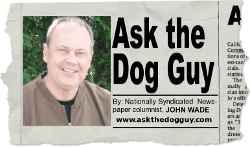 Ask the Dog Guy Column