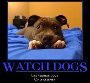 The rule of three watch dog. Click to visit bestdemotivationalposters.com