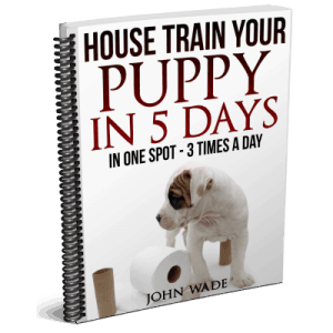 House Train Your Puppy in 5 Days - One Spot 3X/day.