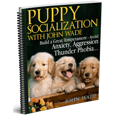 Puppy Socialization with John Wade