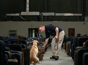 Bomb-Dogs-canine-searches-luggage-7