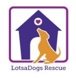 LotsaDogs Rescue