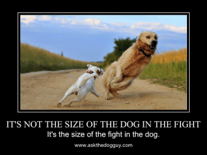 It's not the size of the dog in the fight