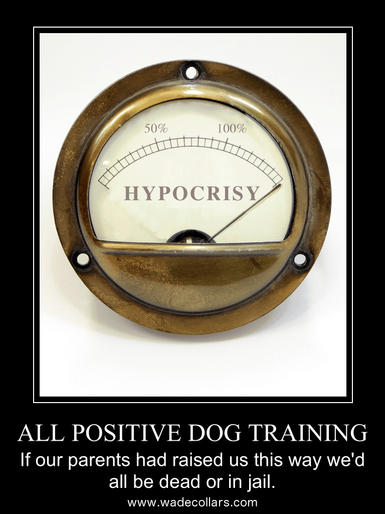 askthedogguy.com all positive hypocrisy poster