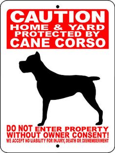 Beware of Cane Corso Dog