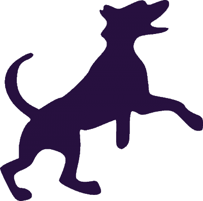 Jumping Labrador Retreiver