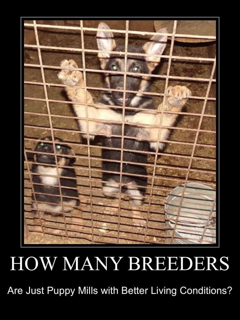 breeders