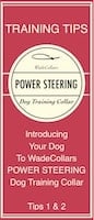 Link to WadeCollar's Power Steering Dog Training Collar Tips Brochure