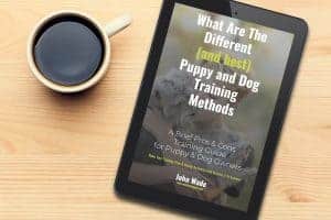 What are the different and best puppy and dog training methods