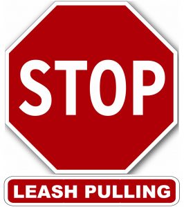 Stop Leash Pulling
