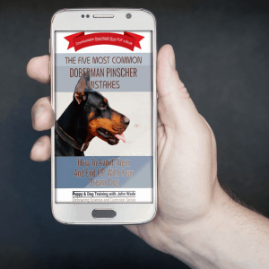 The Five Most Common Doberman Pinscher Mistakes, How To Avoid Them And End Up With Your Dream Dog by John Wade ebook