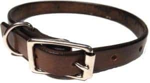 Flat Belt Buckle Collar