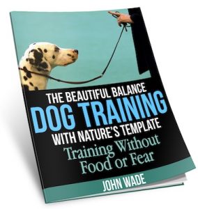 The Beautiful Balance Dog Training With Nature's Template - 'Fully Balanced Companion Dog Training'