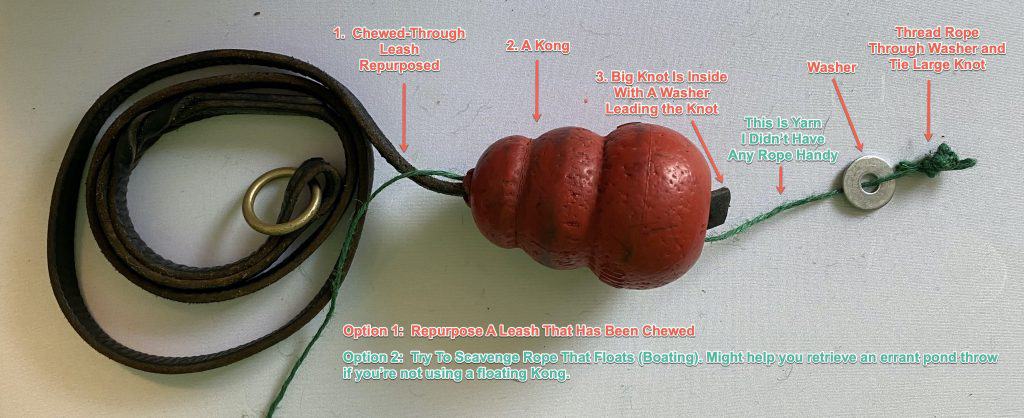 Kong On A Rope Instructions