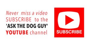 Subscribe To The Ask The Dog Guy YouTube Channel