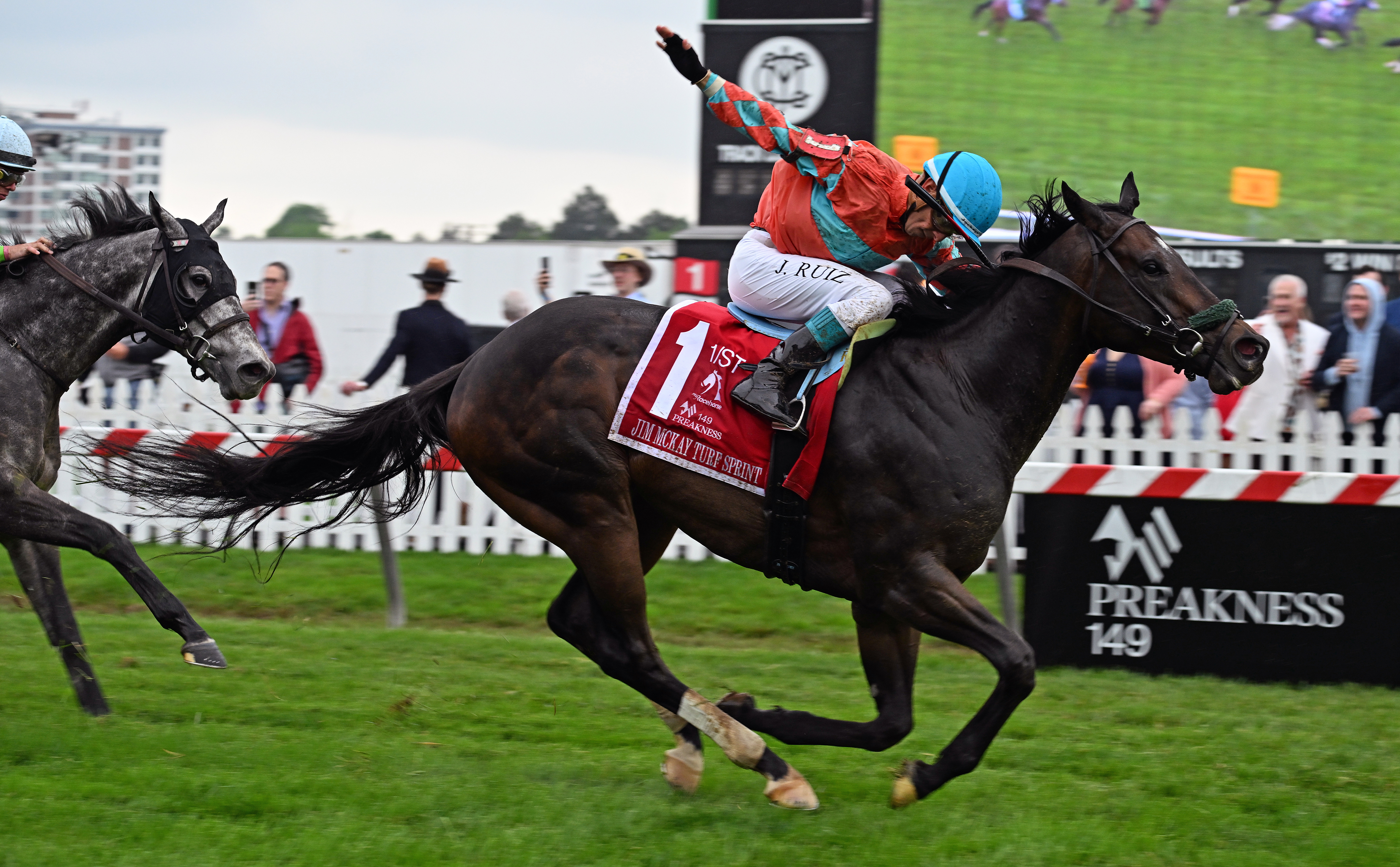 Grooms All Business ridden by Jorge Duarte, Jr. wins the 19th Running of The Jim McKay Turf Sprint, the 11th race. (Kim Hairston/Staff)