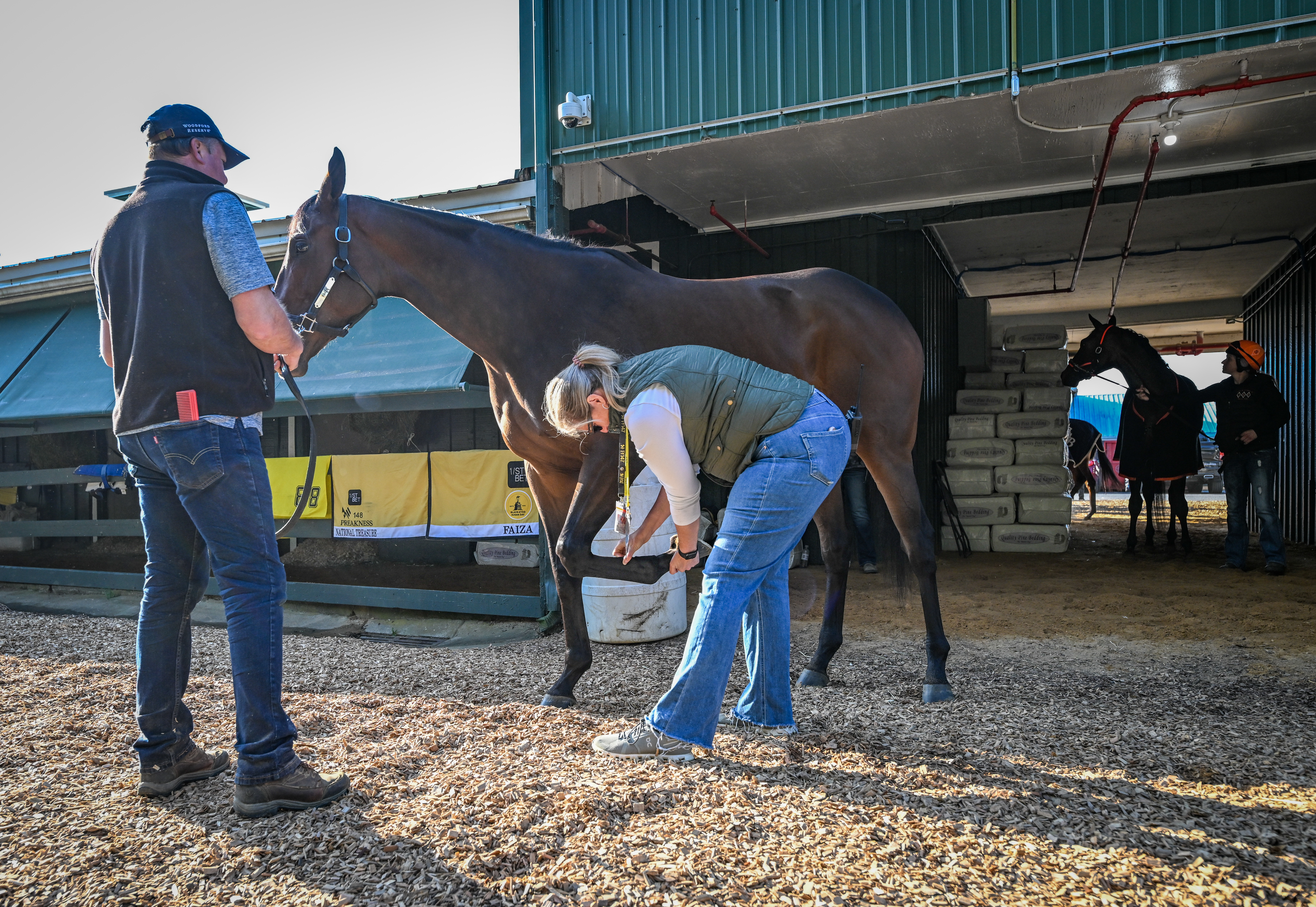 Veterinarian Dr. Dionne Benson does a check of Black-eyed Susan entrant Faiza at the Stakes Barn Thursday morning.