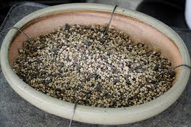 Bonsai Soil Mix Choosing The Right Bonsai Soil For Your Tree