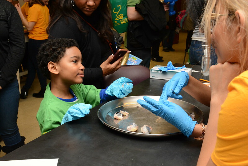 A student joins Wayne State's medical school for a look at career options in the field during the 2018 Future Doctors event.