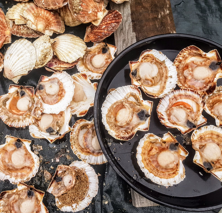 Comment Ouvrir Et Preparer Une Noix De Saint Jacques Ca A Leyre Bon